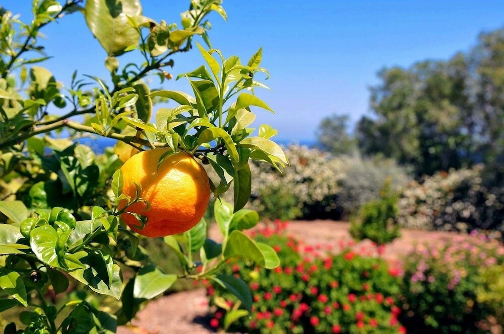 Фото Villa Amelia by Amy Villas