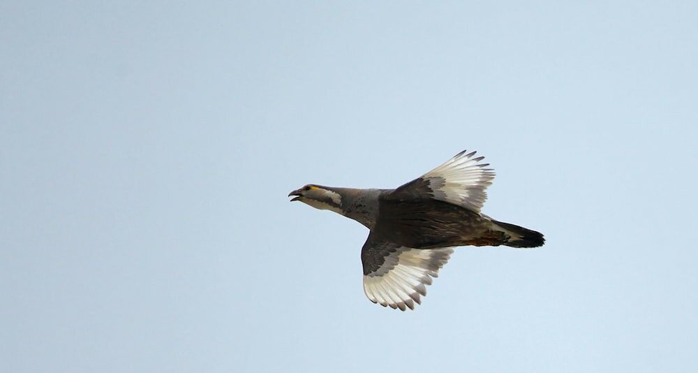 Фото Taurus Guest House