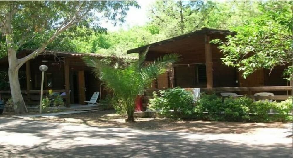 Фото Viola Club Village