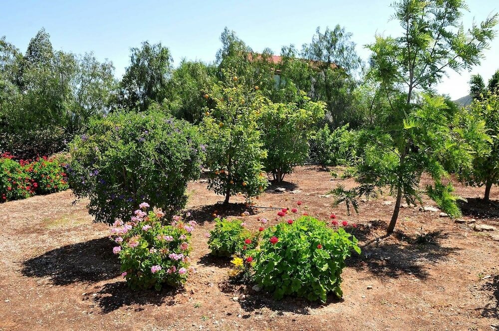 Фото Villa Amelia by Amy Villas