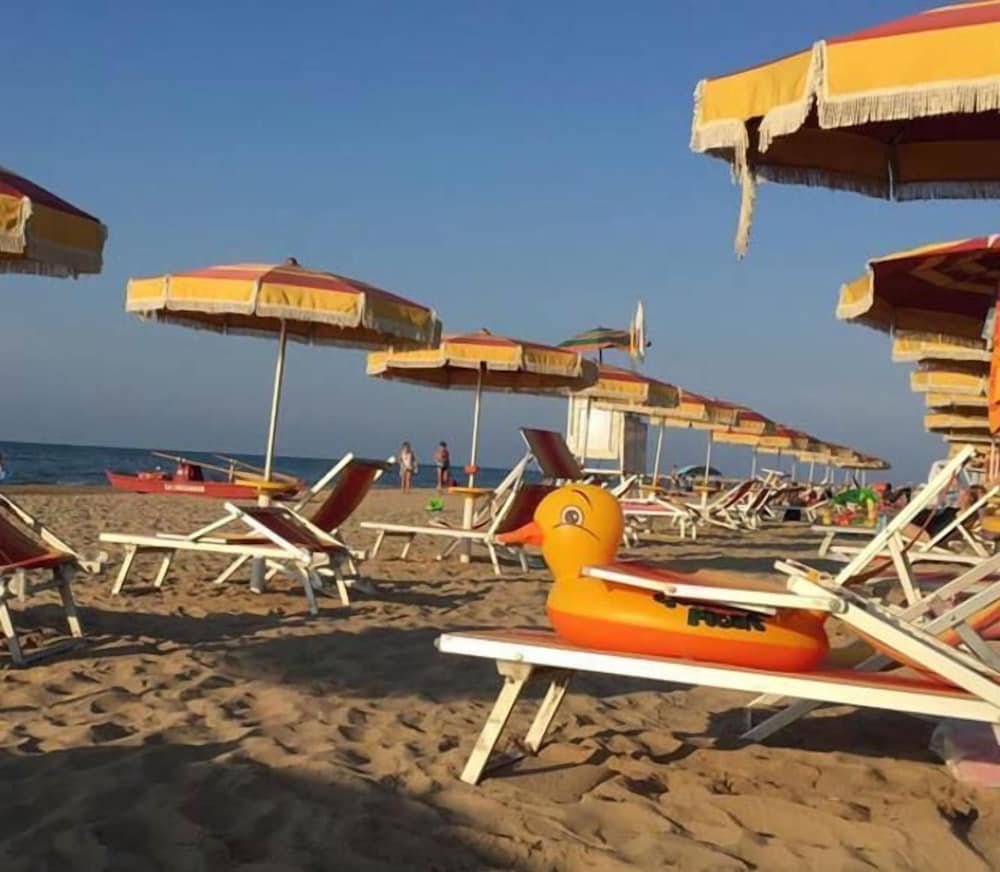 Фото Viola Club Village