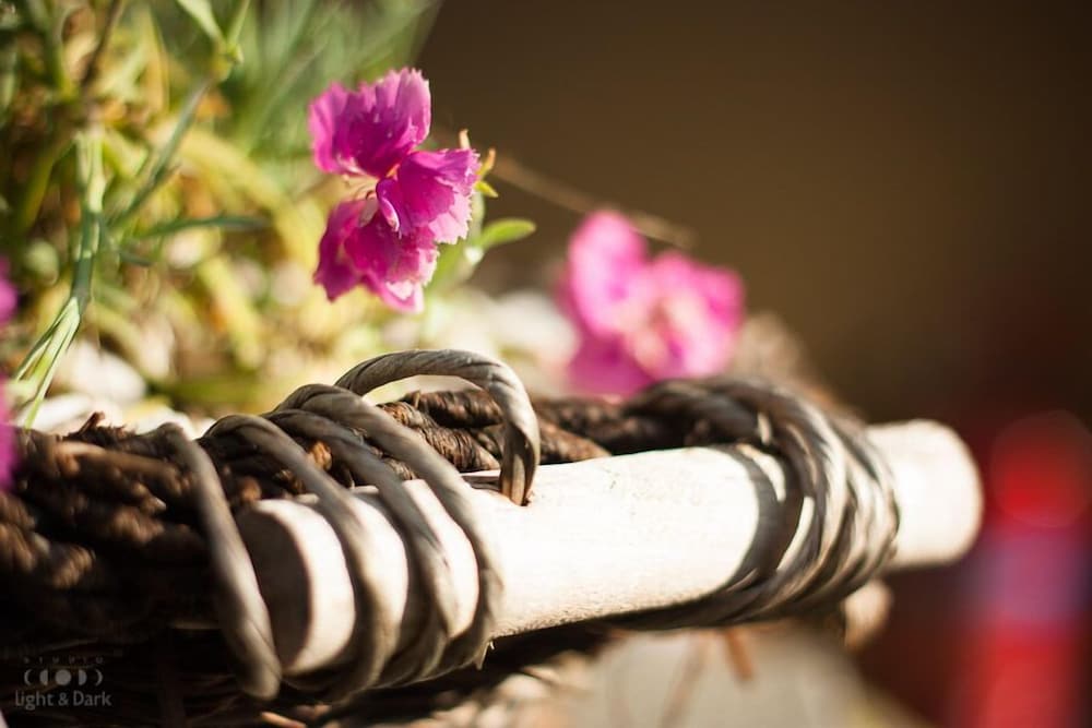 Фото Oreiades Parthenon