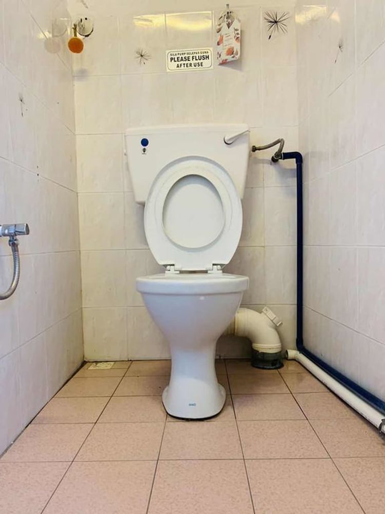 Фото Cookoobird Home - Hostel