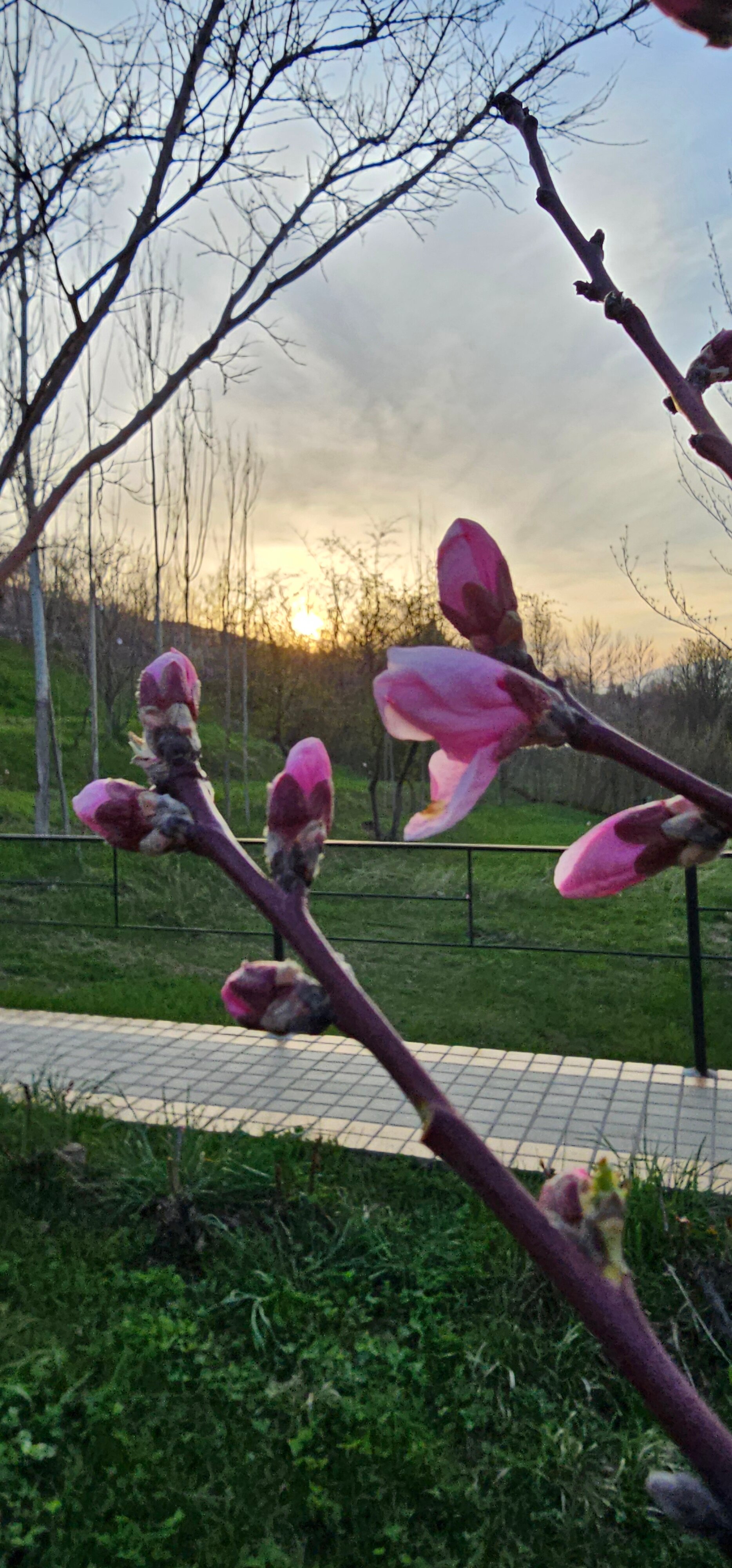 Фото Avenue Park Hotel