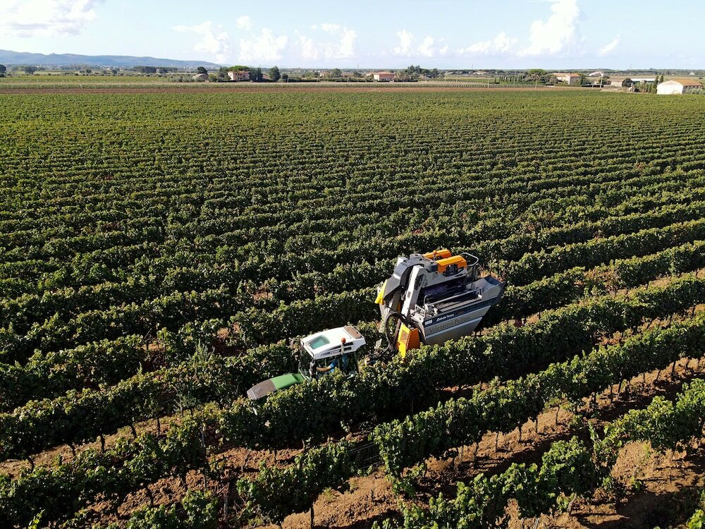 Фото Agriturismo il Pelago
