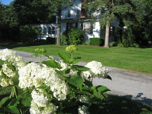 Гостиница White Blossom House Inn