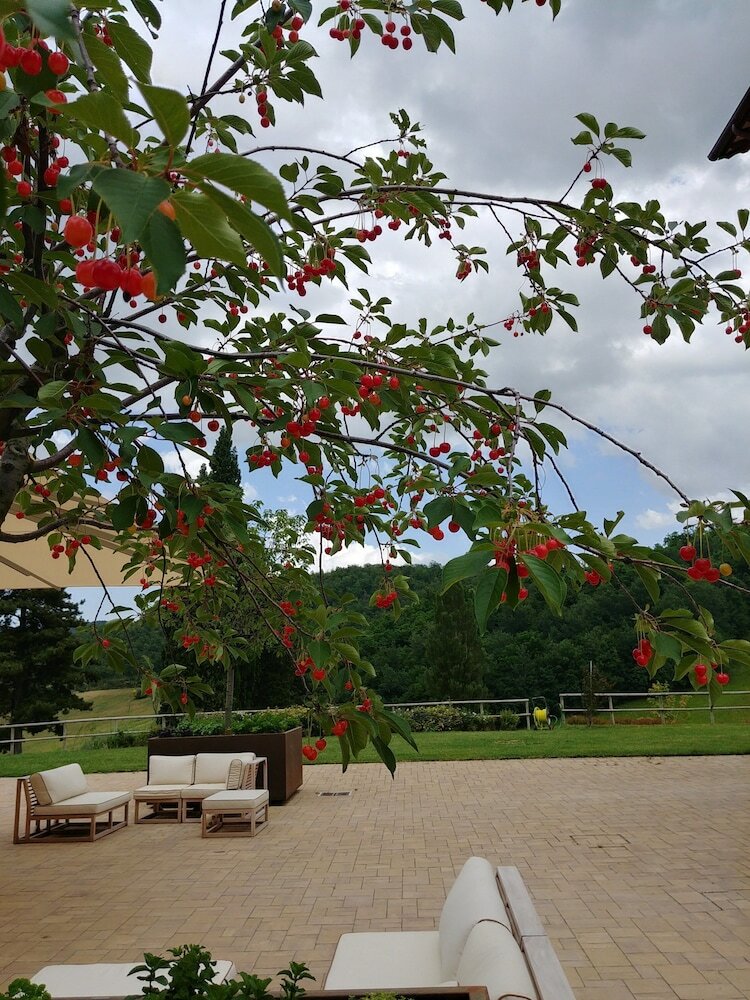 Фото Agriturismo Colle Casini Cortesi