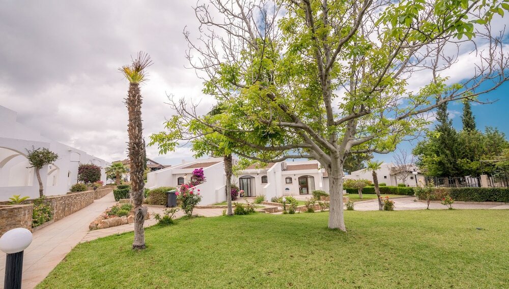 Фото The Olive Tree Hotel