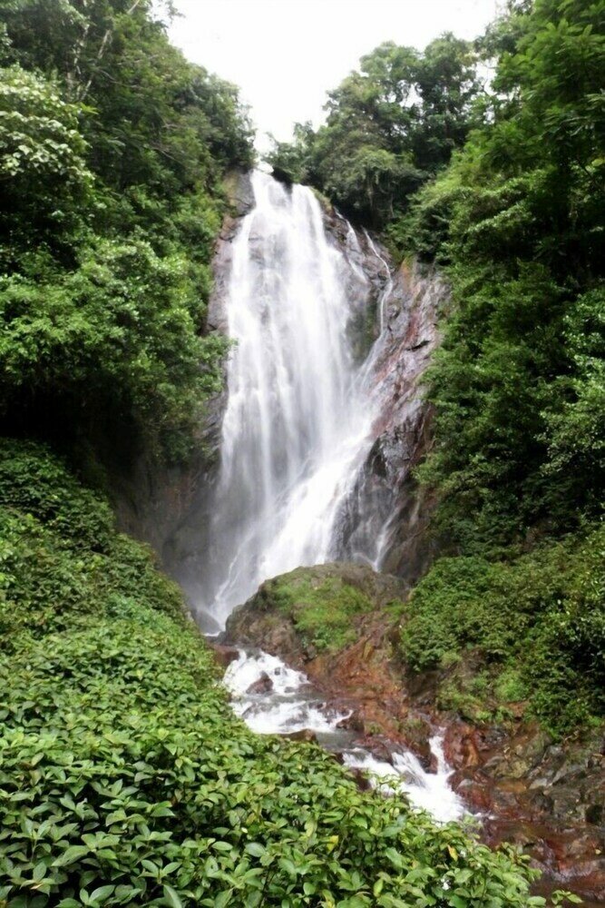 Фото Heaven Hills Guest House