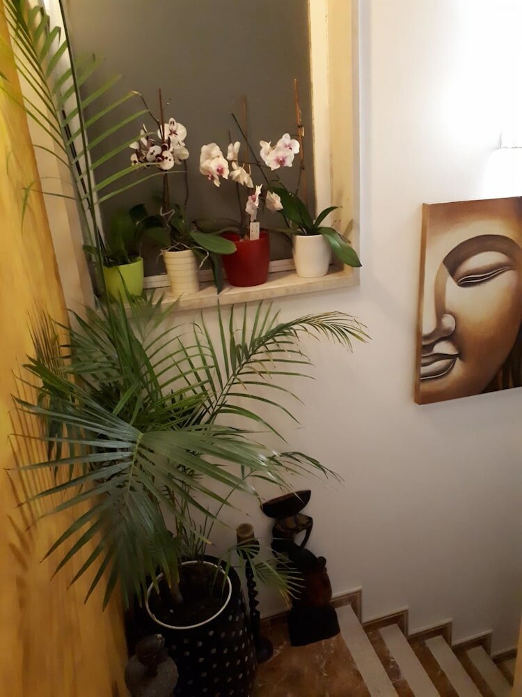 Фото Serra e Mar