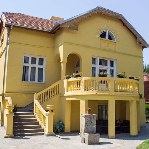 Гостиница Vila Olivera Niska Banja