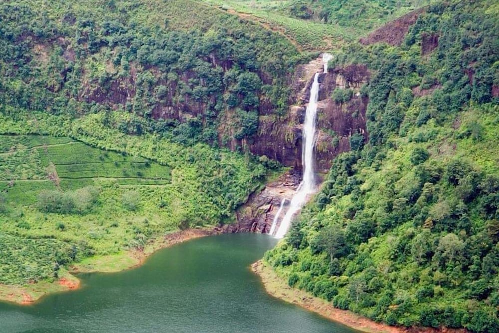 Фото Feelin' Good Resort