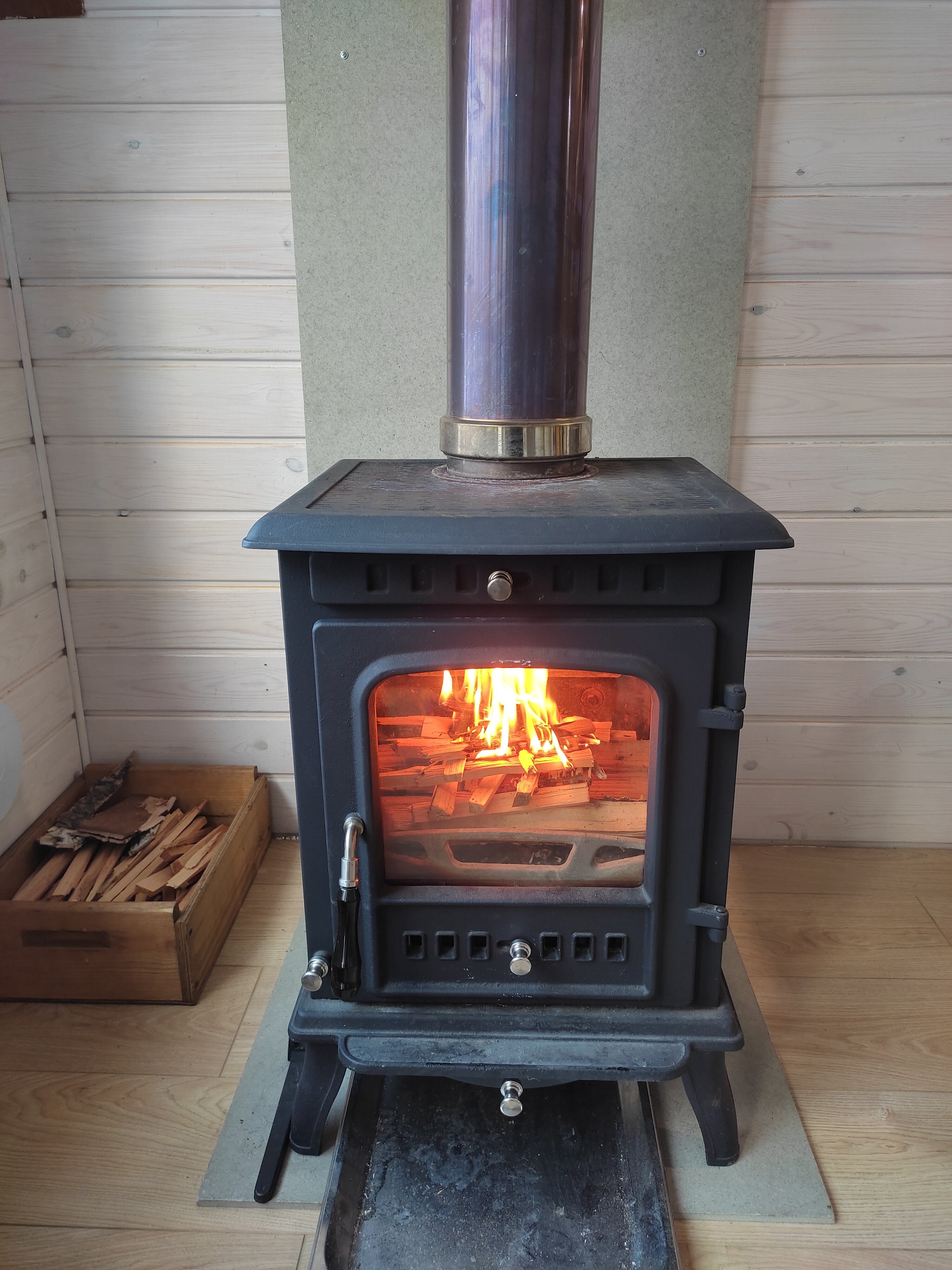 Фото Бурундуки