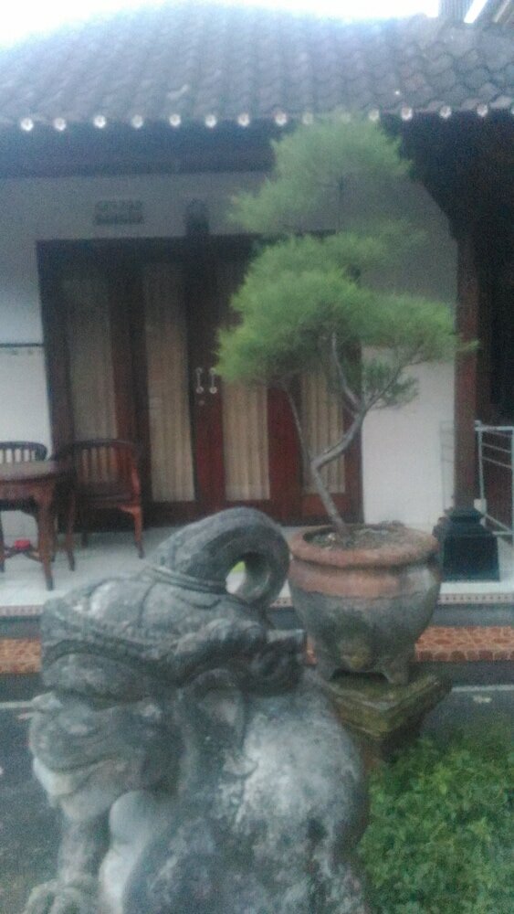 Фото Dewi Antara Homestay