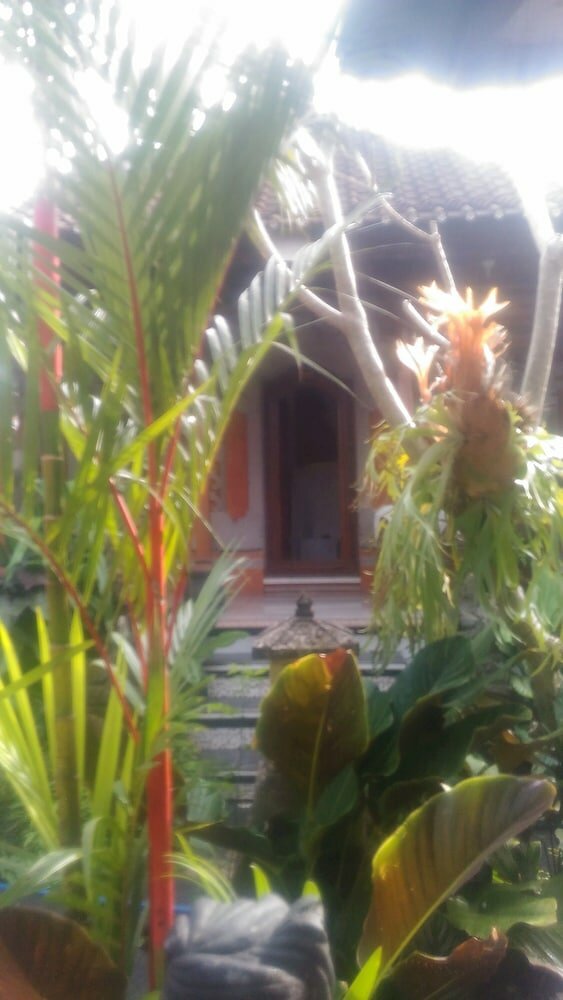 Фото Dewi Antara Homestay