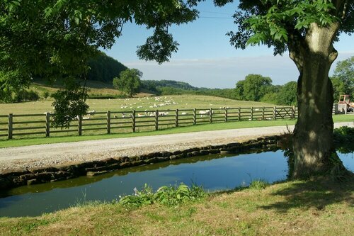 Гостиница Rawcliffe House Farm