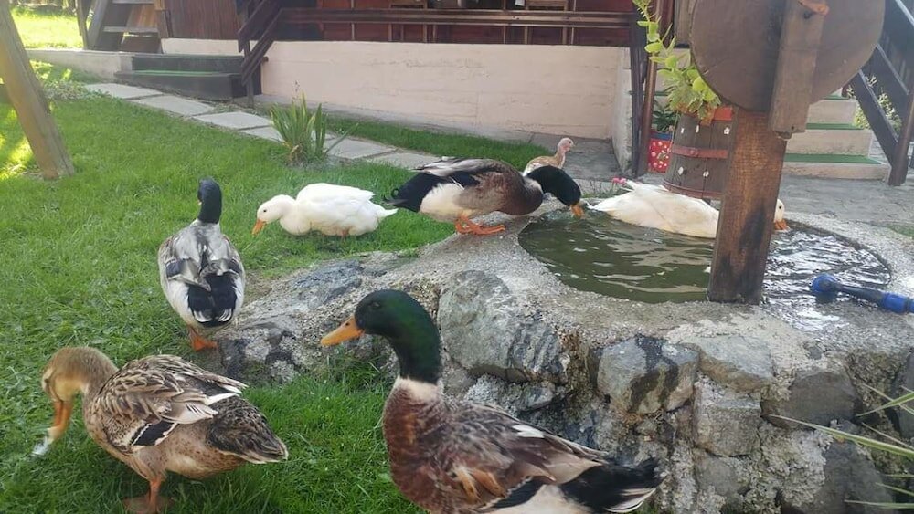 Фото Apartment Sarganska Osmica 8