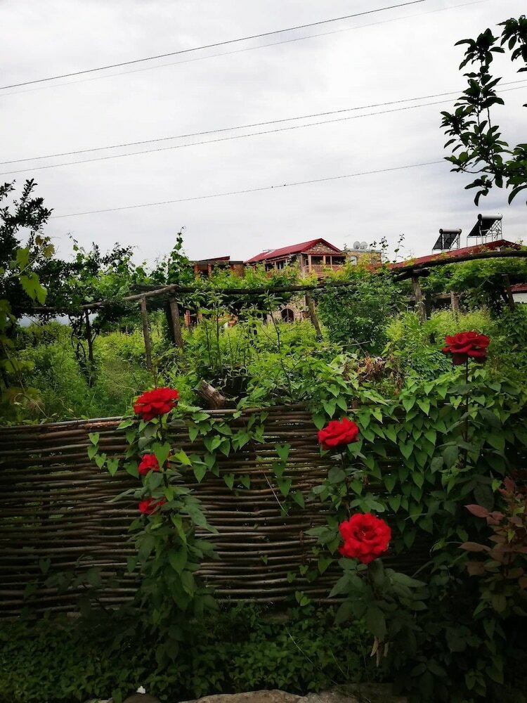 Фото 224496578260