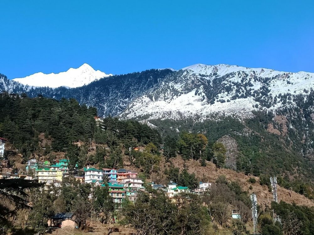 Фото Hotel Pine Spring