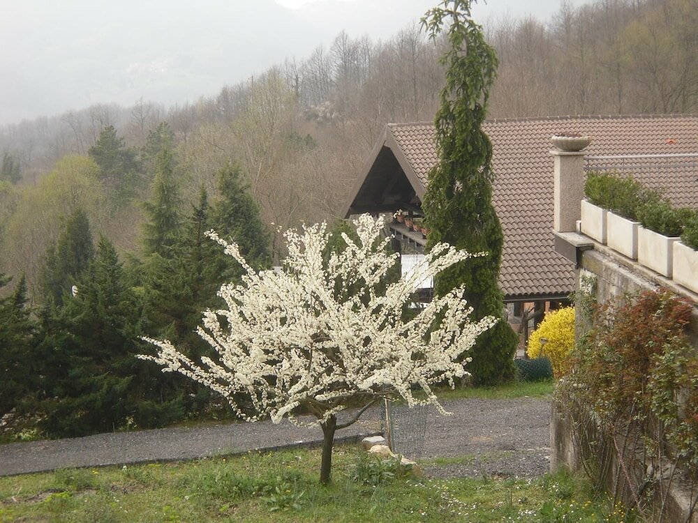 Фото Agriturismo Le Giare