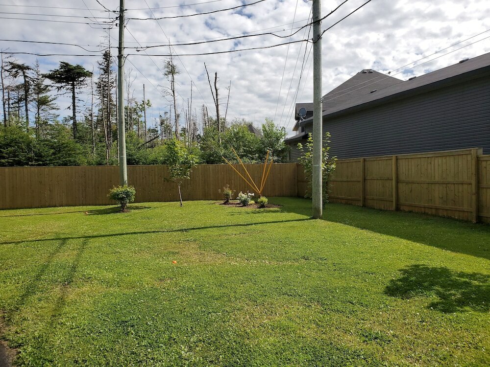 Фото The Blue Jay Nest