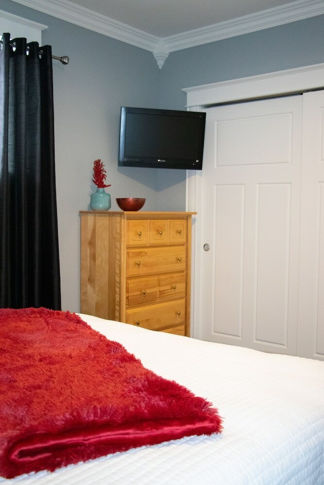 Фото The Blue Jay Nest