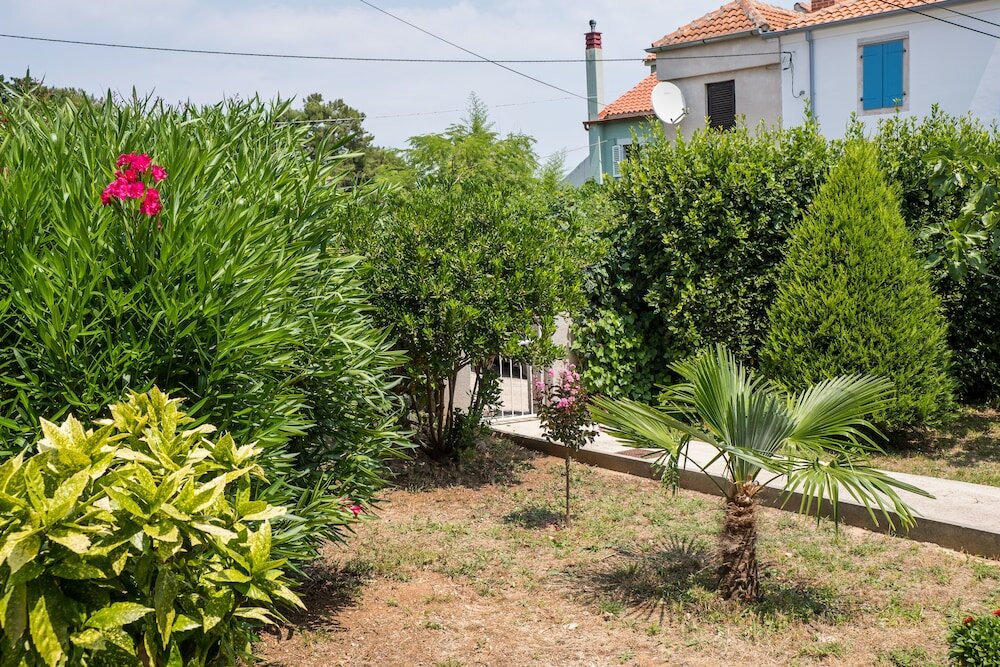 Фото Villa Mirta