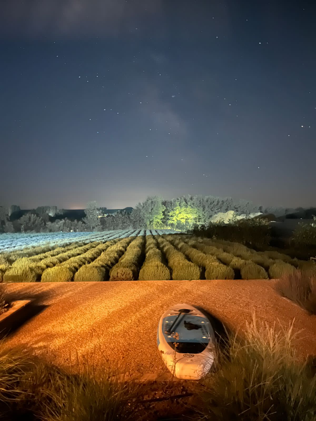 Фото Лавандовые холмы