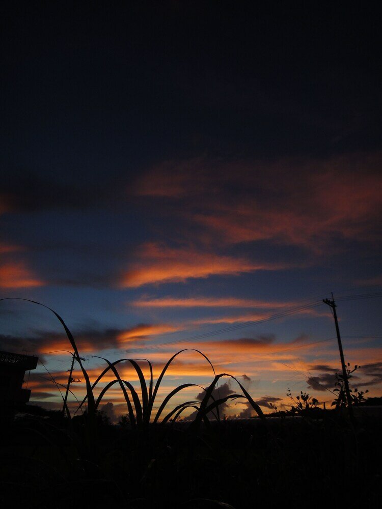 Фото Atelier Café bar Seihei