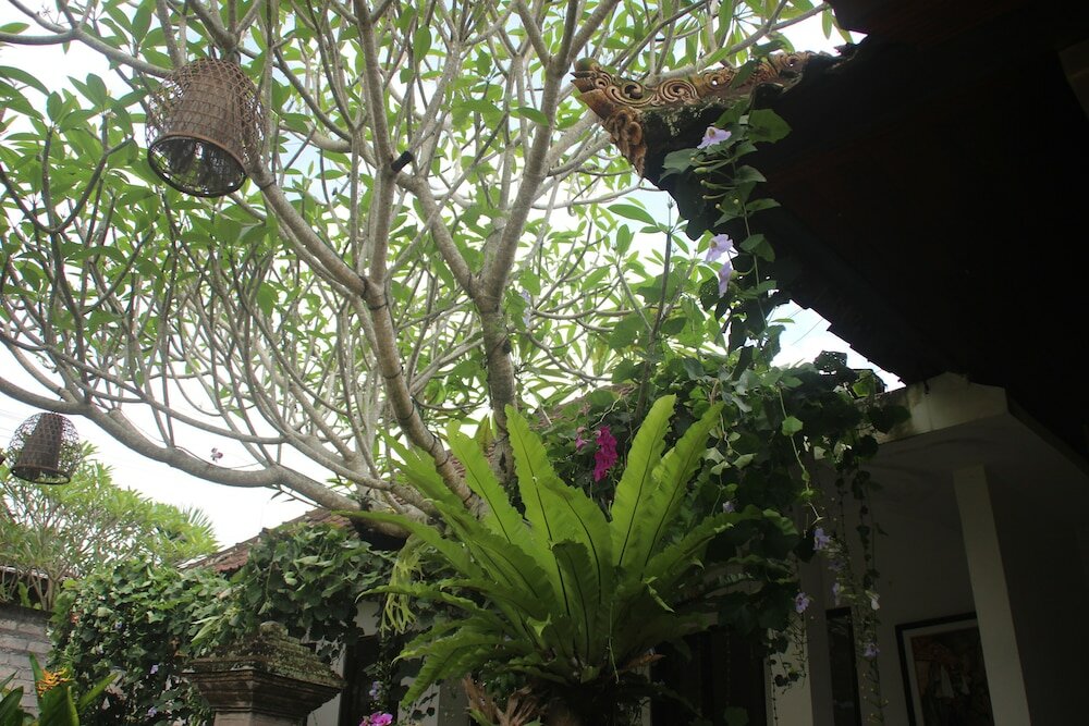 Фото Ubud Room's B&b