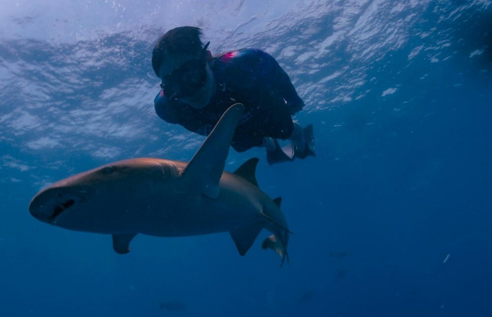 Фото White Sand Dhigurah