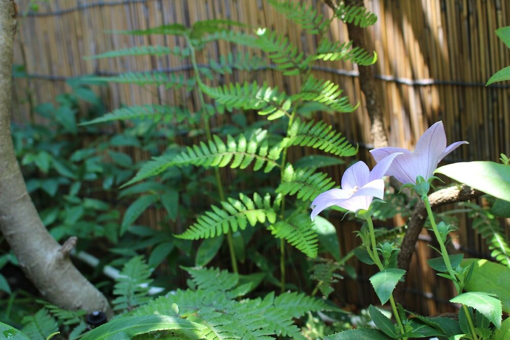 Фото Nishijin No Sato