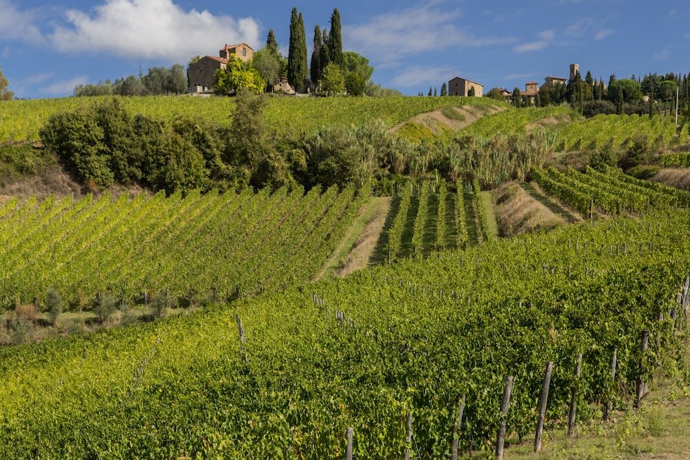 Фото Castello di Volpaia