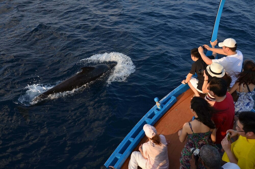 Фото Olhumathi View Inn