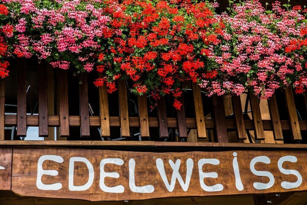 Фото Hotel Edelweiss