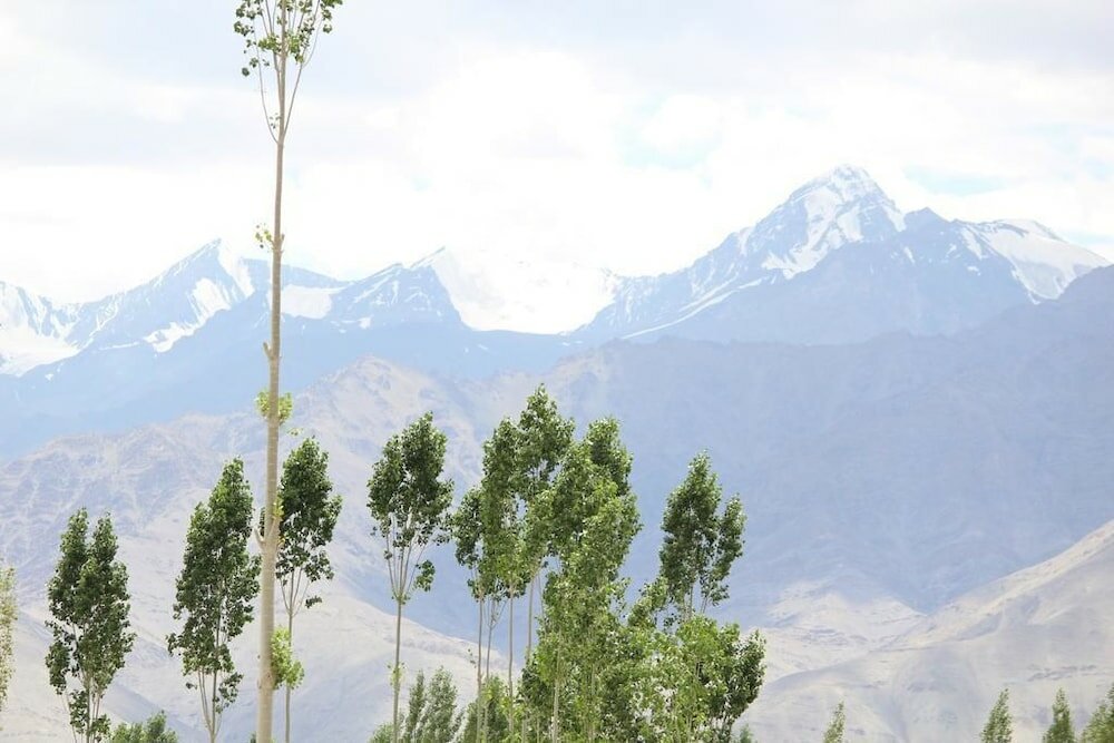 Фото Hotel Blue Stone