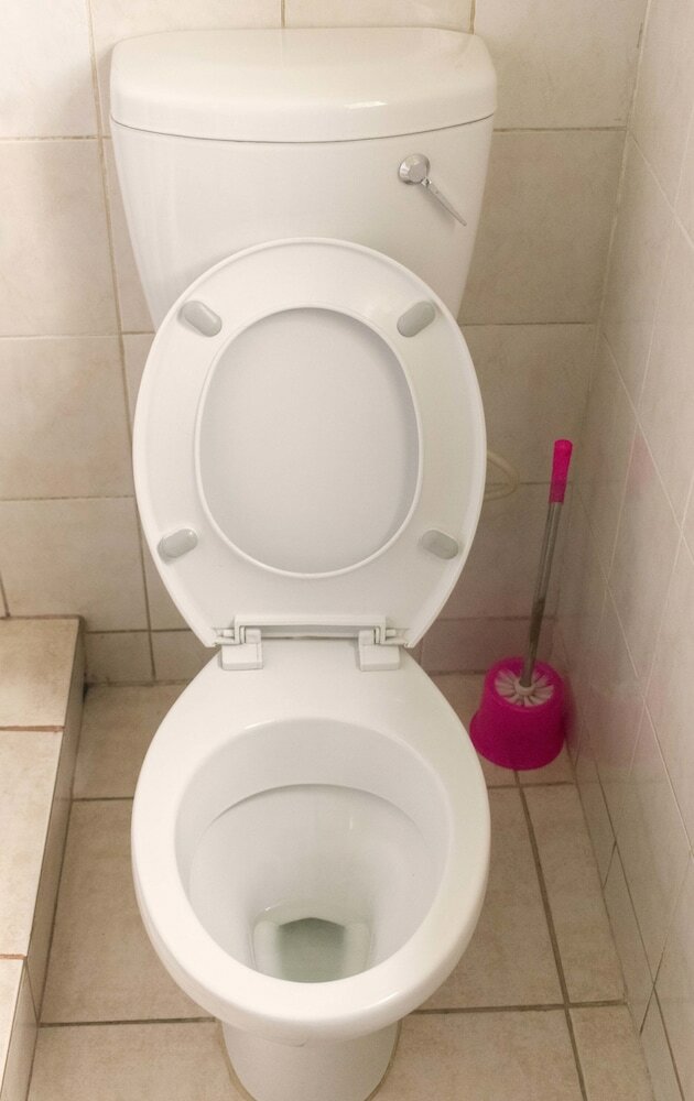 Фото Raja Excelsior Hotel