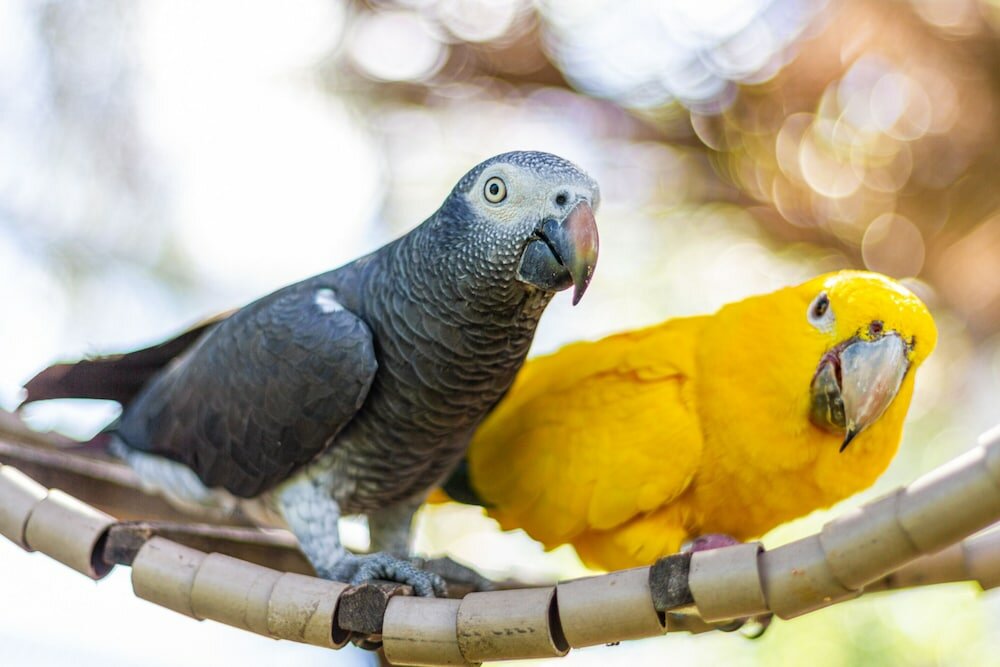 Фото Pousada Eco Luar