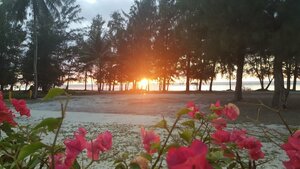 Гостиница Saipan Beach Hotel
