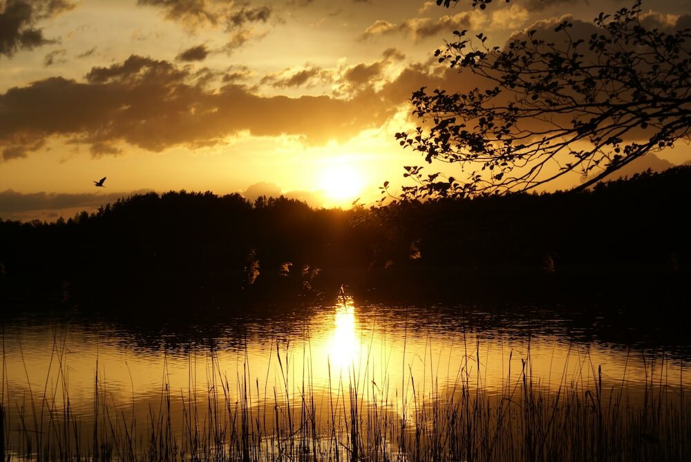 Фото Galindia Refugia