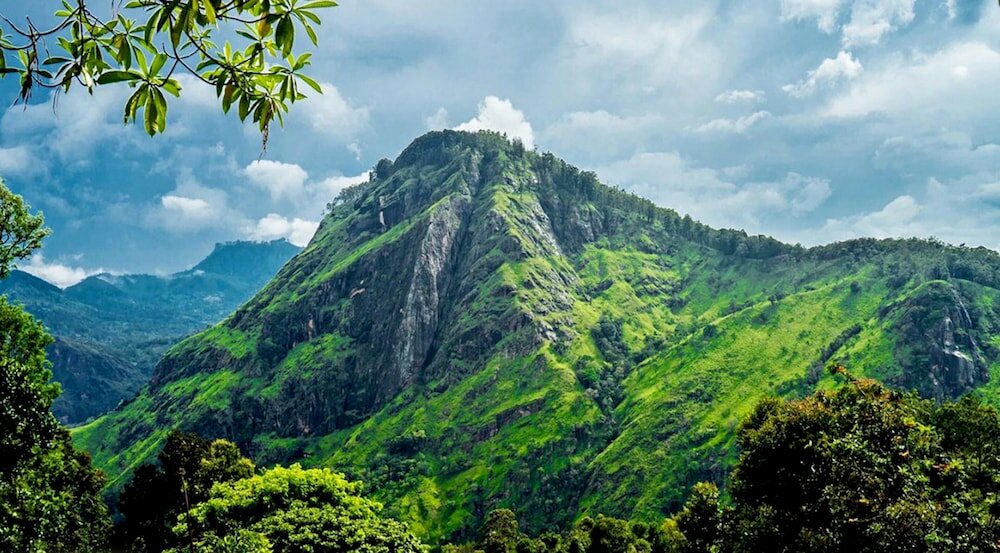 Фото Ella Dream Catcher Resort