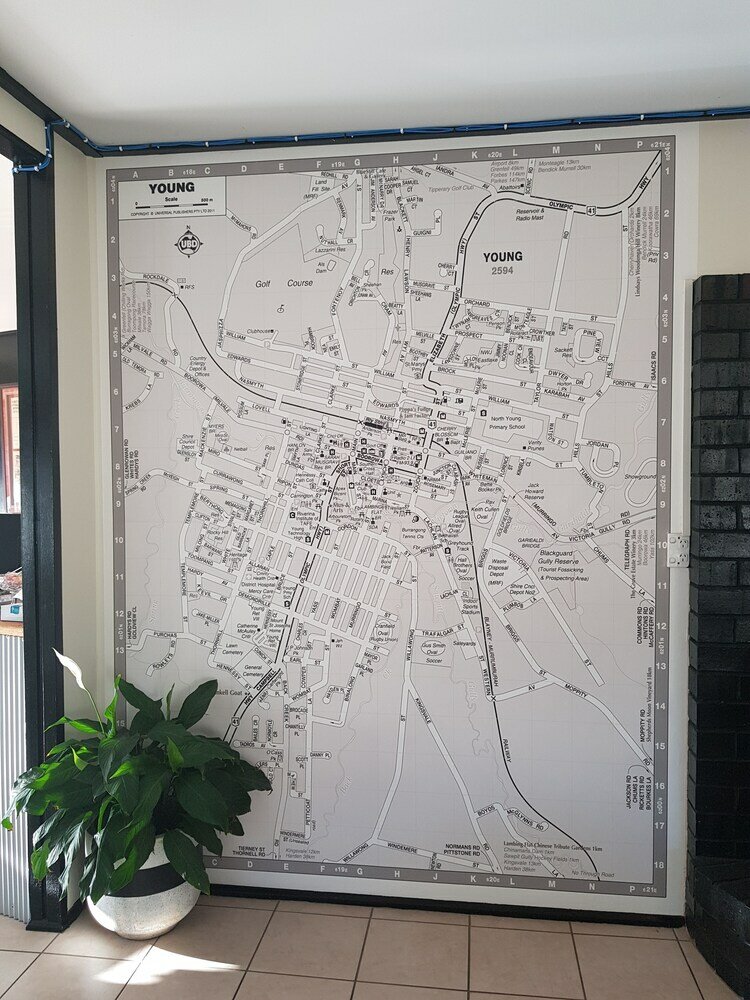 Фото Town House Motor Inn