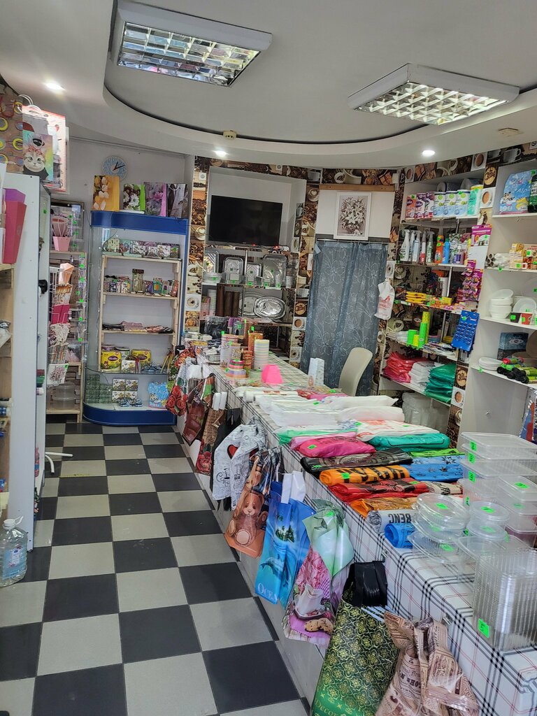 Tienda de artículos para el hogar y productos químicos domésticos Магазин хозтоваров и бытовой химии, , foto