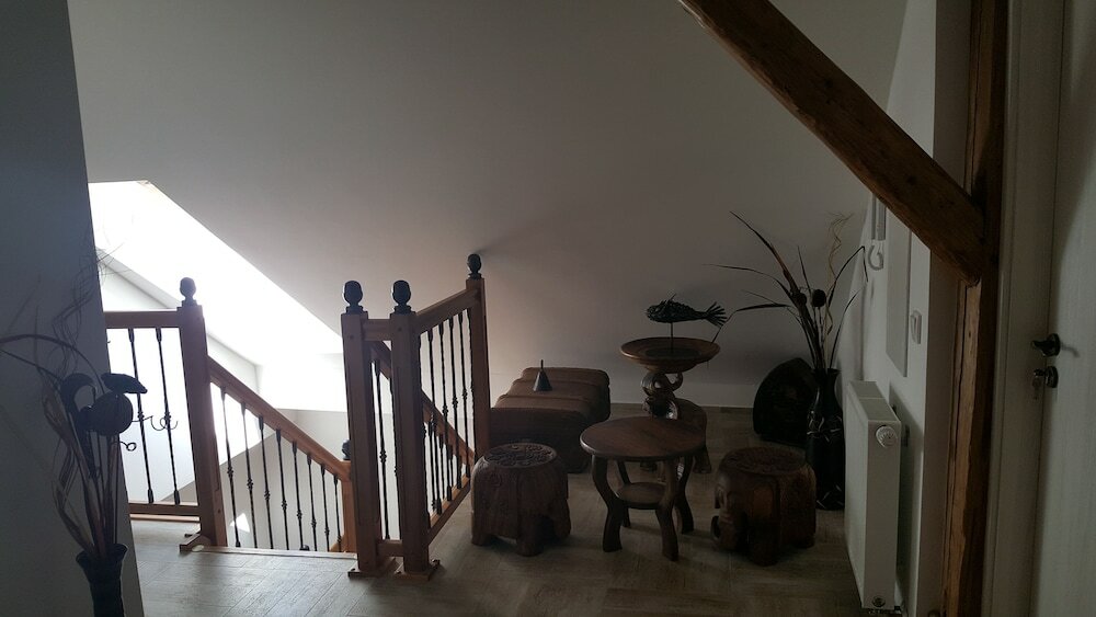 Фото House of Roses