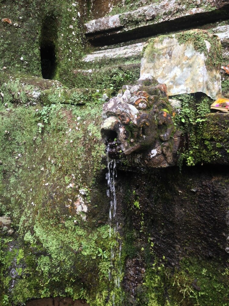 Фото Wina Ubud B&b