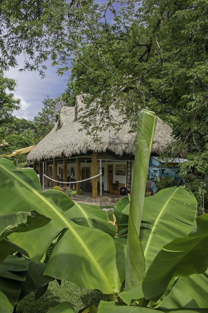 Фото Hotel Michanti