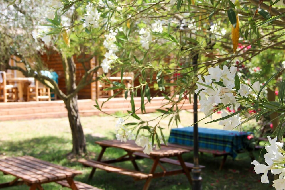Фото Résidence les Caraibes