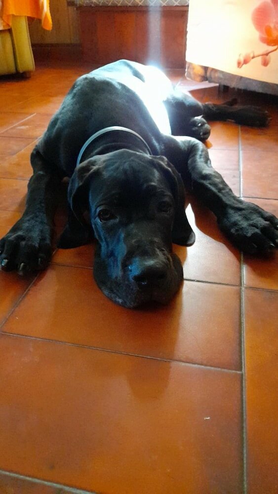 Фото B&b Su Narboni Mannu E4247