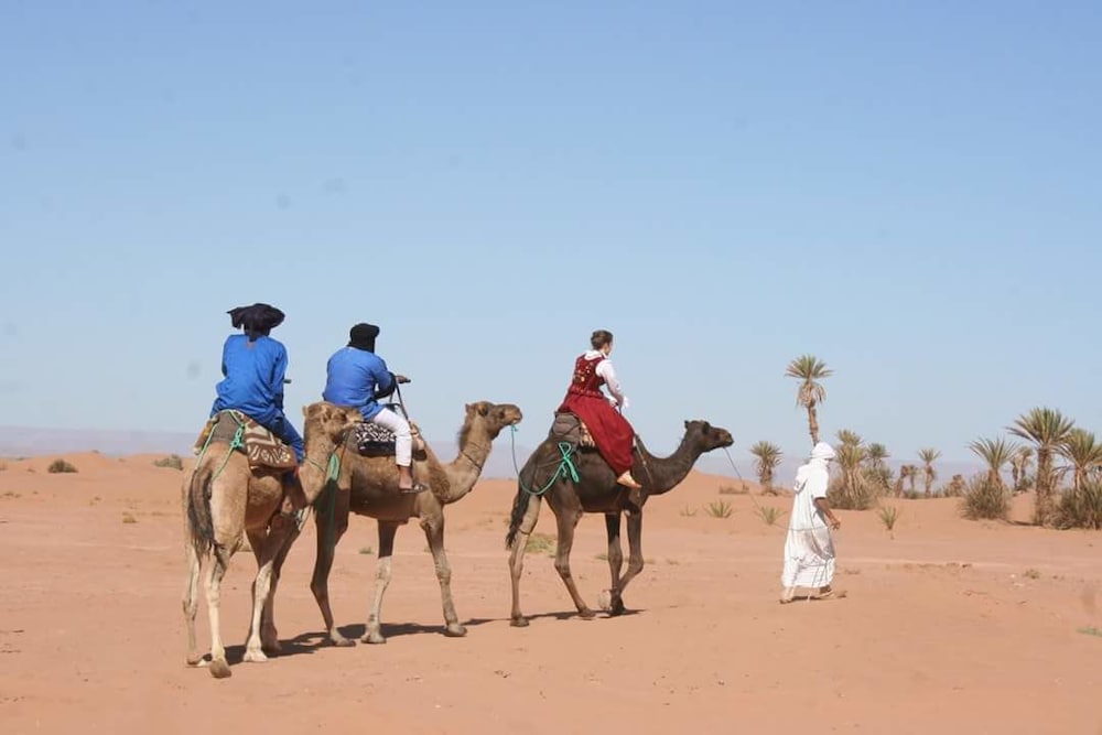 Фото Camp Sahara Nights