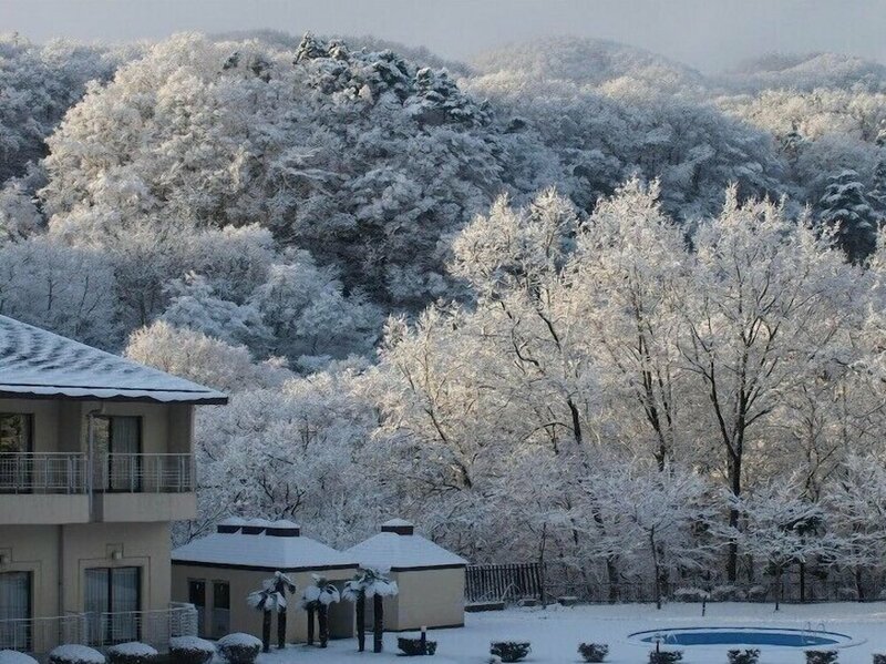 Гостиница Akiu Resort Hotel Crescent в Сендае